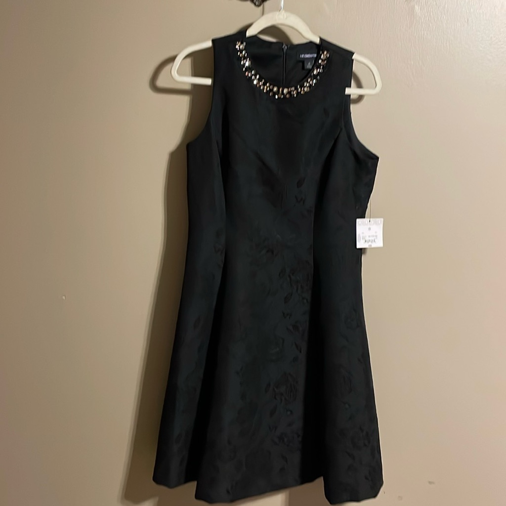 Beautiful Black Dress Size 8 Roses Embellished With A Black On Black Design